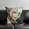 1Pc Anime Dr. Stone Pillow Case Fashion Square Pillowcase Bedroom Sofa Room Ins Decoration Leisure