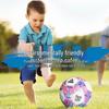 Peak Size 5 PVC Machine-Stitched Football