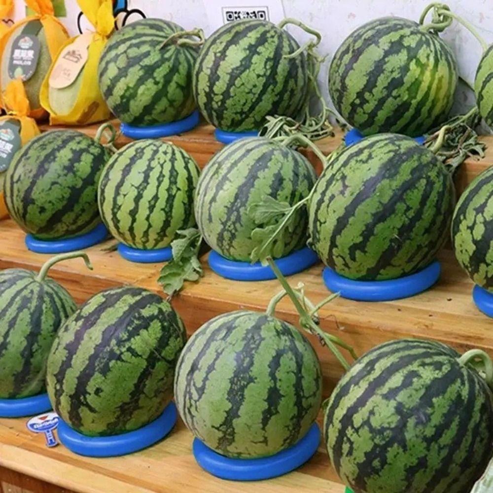 1/5Pcs Anti-Slip Fruit Fixed Ring Wear-resistant Watermelon Ring Fashion Football Display Stand