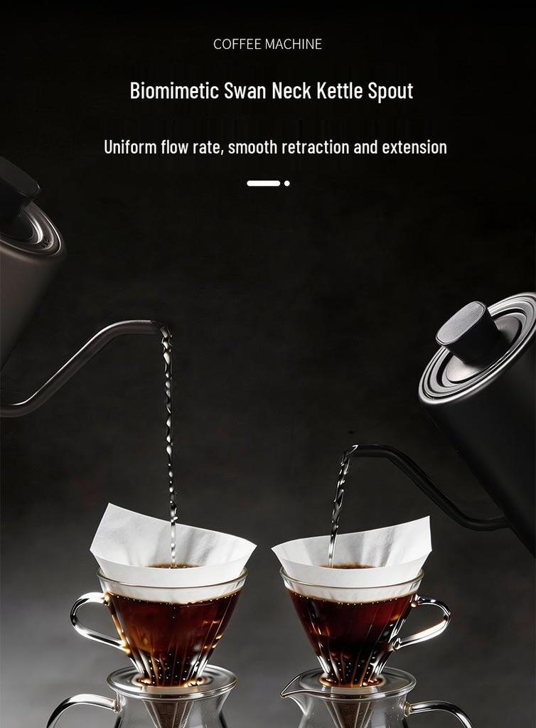 European Gooseneck Electric Kettle - 304 Stainless Steel Pour-over Coffee Pot with Long Spout