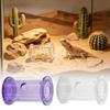 Reptile Feeding Food Bowl Slow Feeder Rolling Cylinder Clear Bearded Dragon Parakeet Foraging Toys for Bird Gecko Lizard Parrot