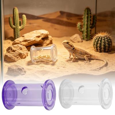 Reptielen – Reptielen terraria