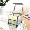 Retro Glass Jewelry Box for Rings, Earrings, and Wedding Decor