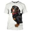 Funny Animal The Dachshund Graphic T Shirts Men Summer Fashion Casual Quick-drying T-shirt 3D Printed Streetwear Tees Tops
