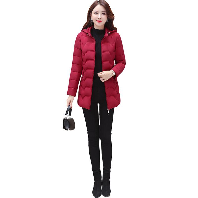 Down Cotton-padded Clothes Women's Long Models, New Cotton-padded Clothes, Versatile Women's Clothing, Winter Warm Cotton-padded Jacket