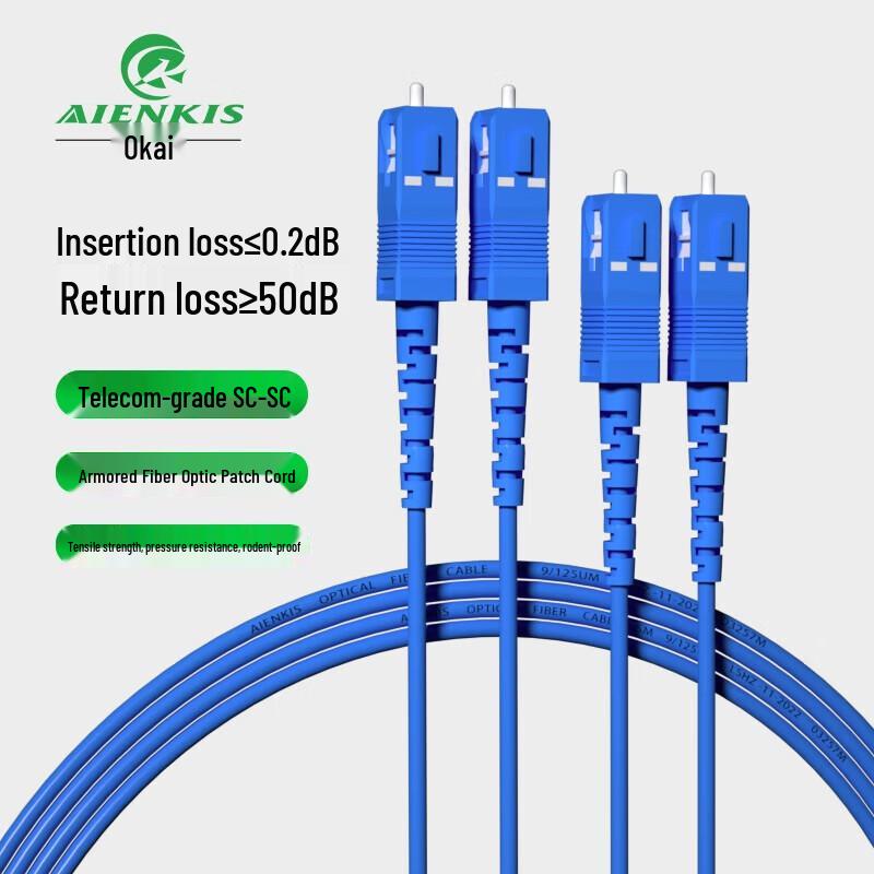 

AIENKIS Armored SC-SC Single-Mode Duplex Fiber Optic Patch Cable