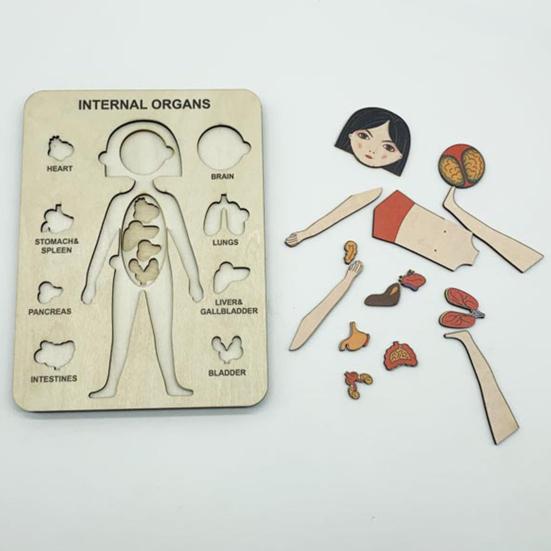 Cognition Easy To Assemble Fun Smooth Surface Boys Girls Anatomy Play Set Wooden Jigsaw Board Puzzle