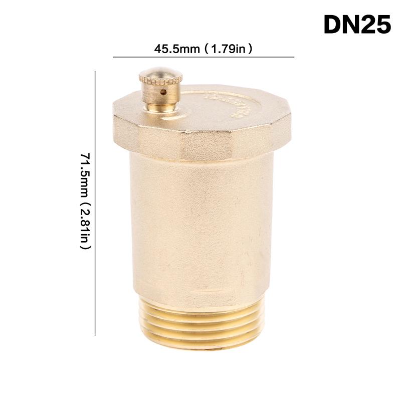 Dn10/Dn15/Dn20/Dn25 Brass Material Automatic Exhaust Release Valve Standard Male Thread Pressure Release Air Vent Valve