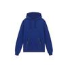 Sweatshirts Men's Blue Hooded Moderate Other A81512S-A234889-A124