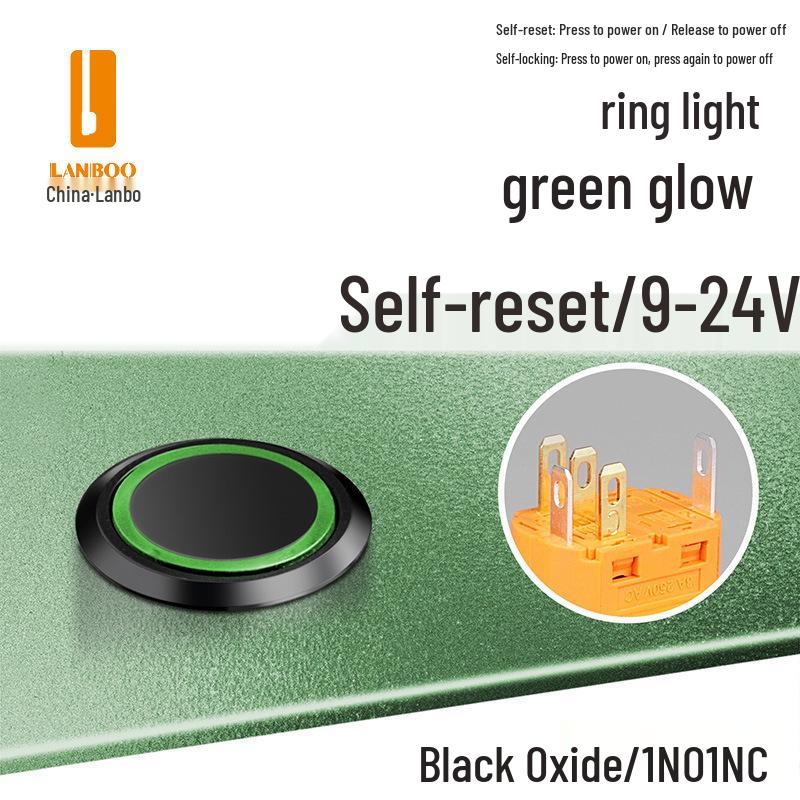 Lanbo 22A Stainless Steel Illuminated Self-Locking Momentary Push Button Elevator Switch