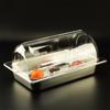 Food Grade Resin Buffet Display Tray with Lid