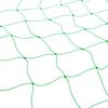 TG71977 NET SUPPORT FOR CLIMBING PLANTS LADDER SUPPORT 1.8x1.8M