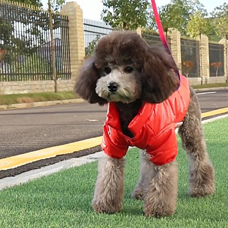 poodle snowsuit