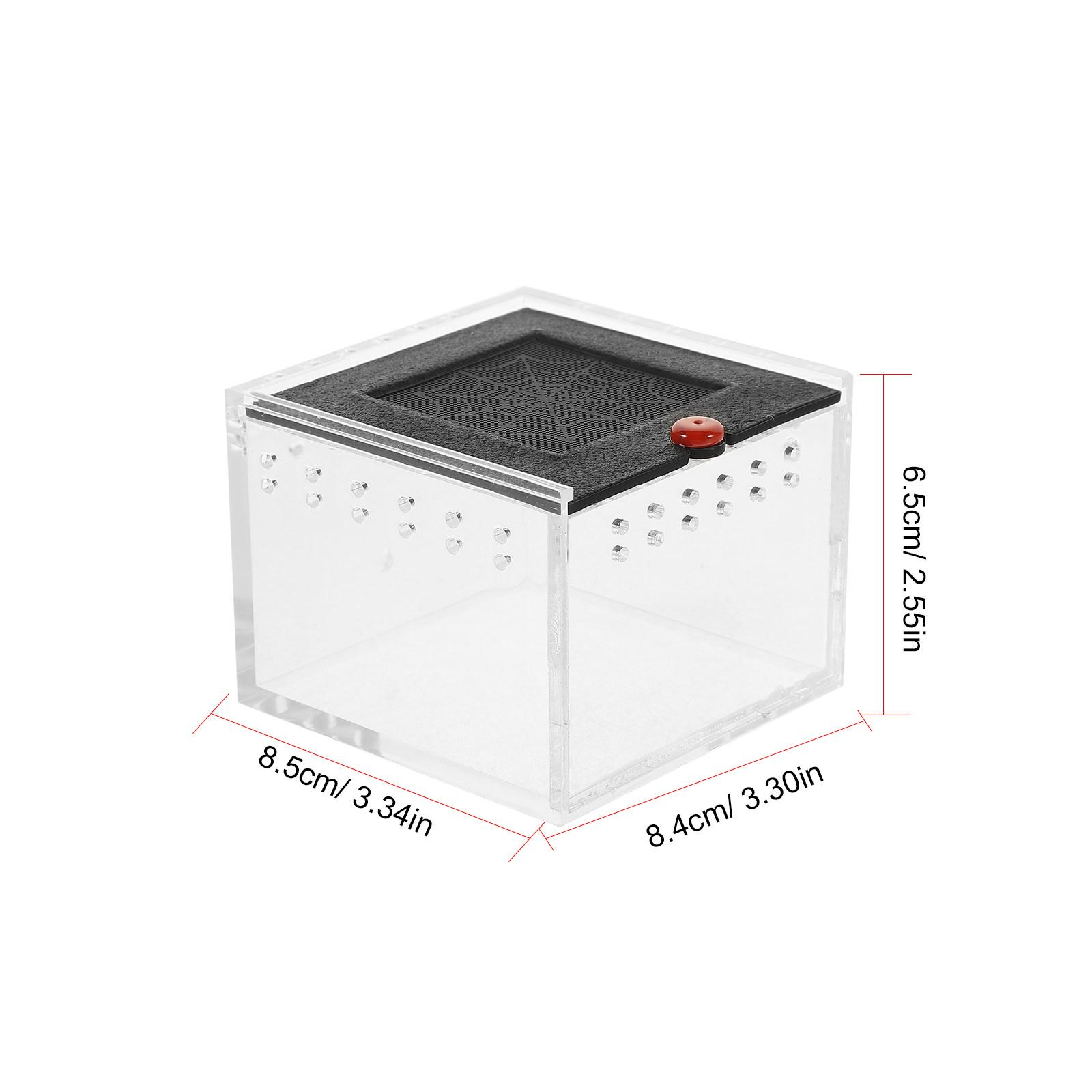 Clear Viewing Acrylic Reptile Feeding Box Small Ventilated Terrarium for Spiders Lizards Insects Snails and Reptile Habitat прозрачный