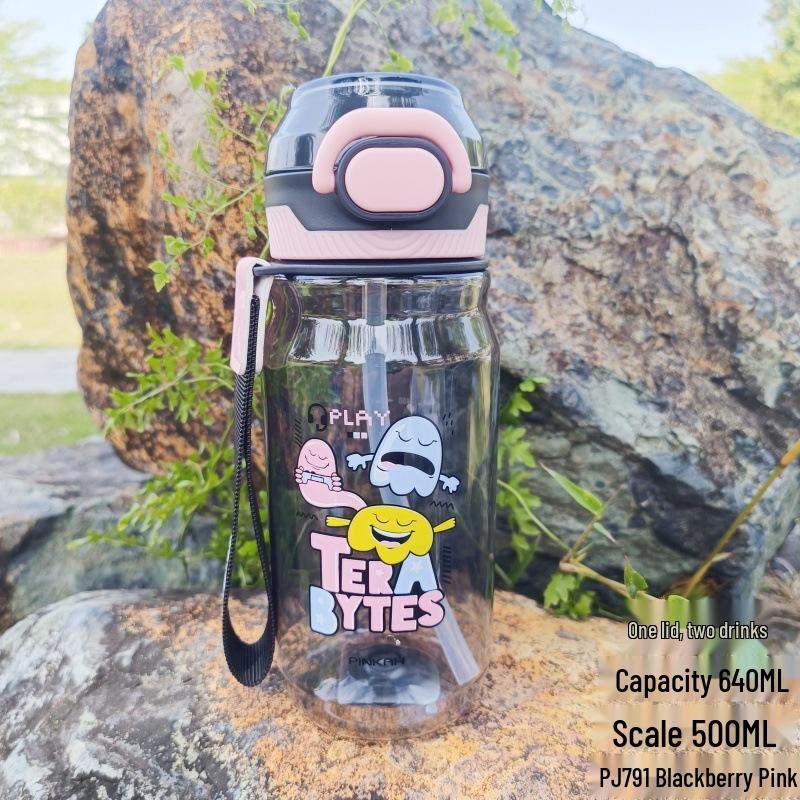 Xinli Tritan Double Drink Straw Bottle - High/Low Temp Resistant, Large Capacity Sports Water Cup 640ML