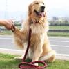 Pet Dog Leash Nylon Heavy Duty Nonextendable For Large Dogs