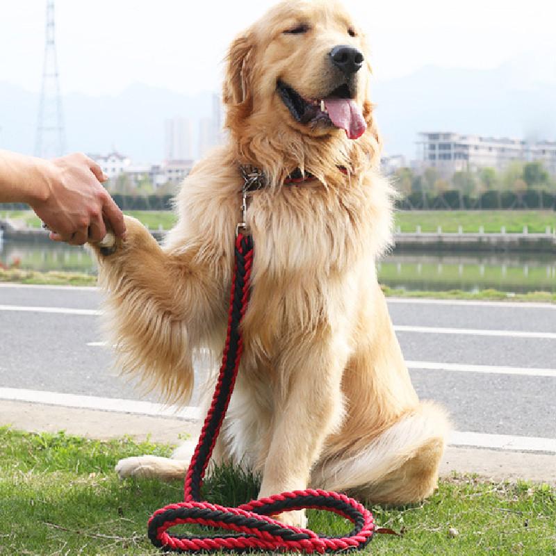 Pet Dog Leash Nylon Heavy Duty Nonextendable For Large Dogs