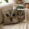 Comical Quirky Cat Print Cushion Humorous Animal Cat Image Pillow Funny Sofa Cushion  Sofa