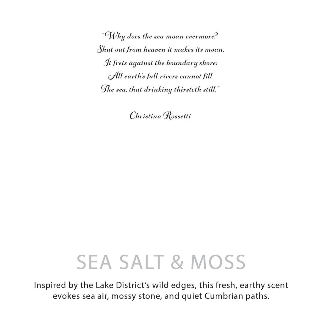 Agnes + Cat Botanical Soy Wax Candle – Seasalt & Moss