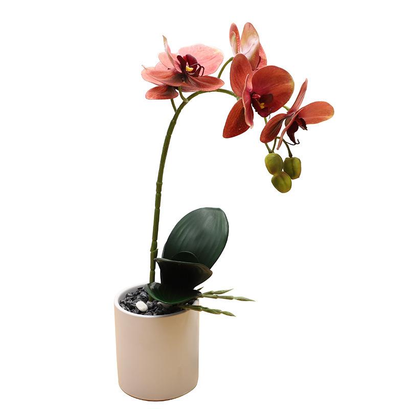 Simulation Plant Phalaenopsis Pot Home Living Room Decoration Fake Flower Flower Pot Simulation Flower Factory Wholesale