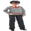 Harry Potter Chamber of Secrets Harry Potter Doll