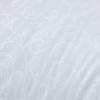 Luolai Qinnuan Australian Wool Quilt