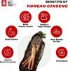 CheongKwanJang [Korean Red Ginseng Concentrated Extract 100g MILD] 6 Year Old