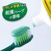Shoyo EX (Shoyo EX) Medicated Toothpaste to Prevent Periodontal Disease, Herb Mint Flavor, 100g