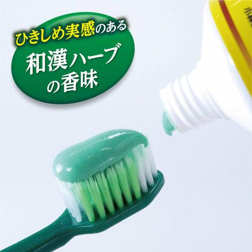 Shoyo EX (Shoyo EX) Medicated Toothpaste to Prevent Periodontal Disease, Herb Mint Flavor, 100g