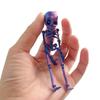 3D Printed Magnetic Skeleton Coloful Realistic Movable Skeleton Magnet For Fridge Articulated Magnetic Refrigerator Sticker