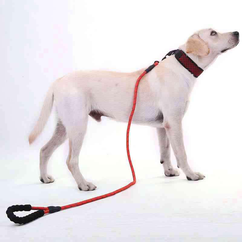 pull strap dog