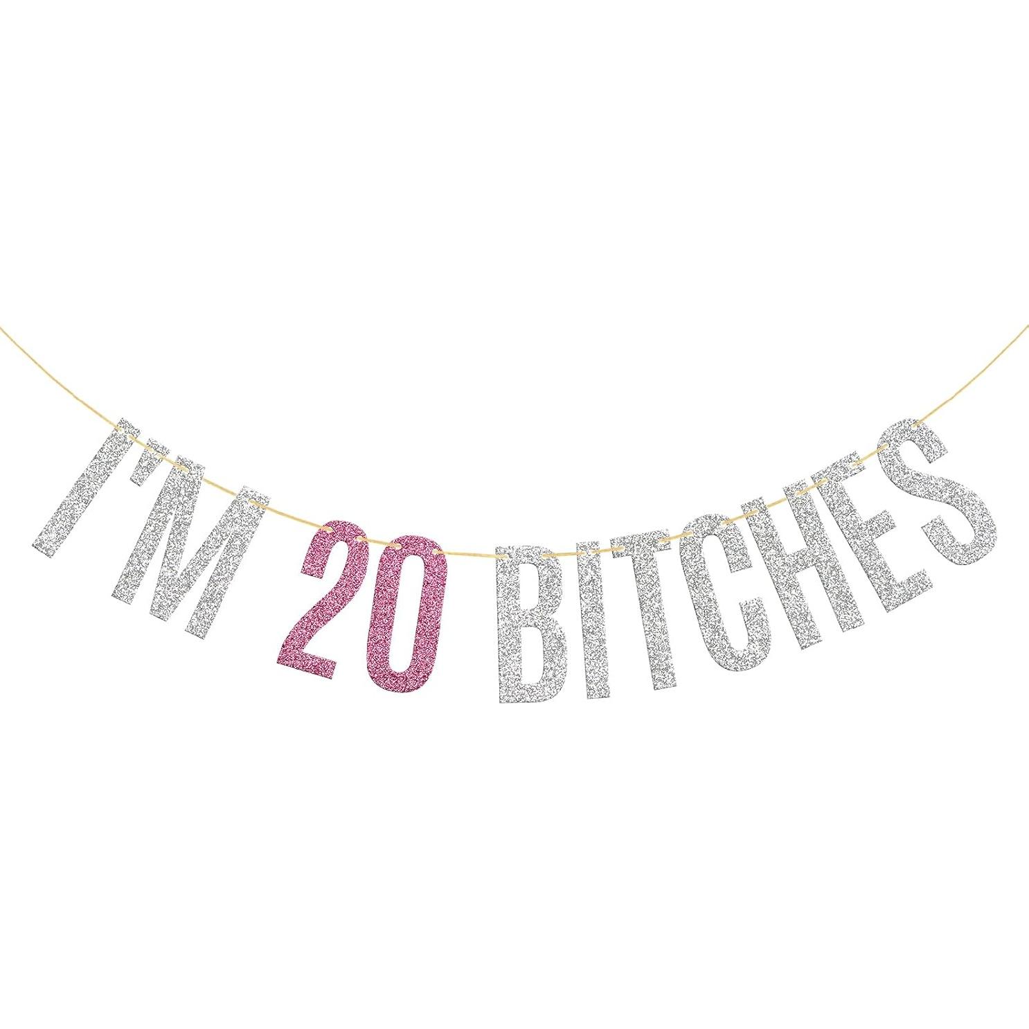 Glitter I m 20 Bitches Banner Happy 20th Birthday Banner 20th Anniversary Girl s 20th Birthday Party Decorations Silver & Pink