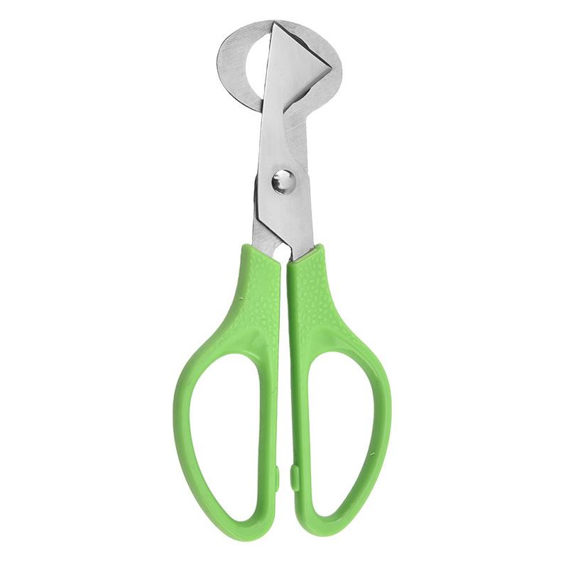 1Pc Stainless Steel Quail Egg Shell Scissors - Rust-Resistant Durable Kitchen Tool,  for Quail Egg Cutting & Cigar Trimming
