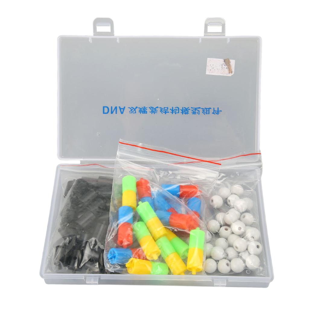 DNA Double Helix Structure Models Educational DNA Double Helix Modesl Kit Biological Science