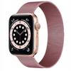 Toepasbare Magnetische Milanese Band voor Apple Watch Series 8/7/6/SE/5/4/3/2 en iWatch