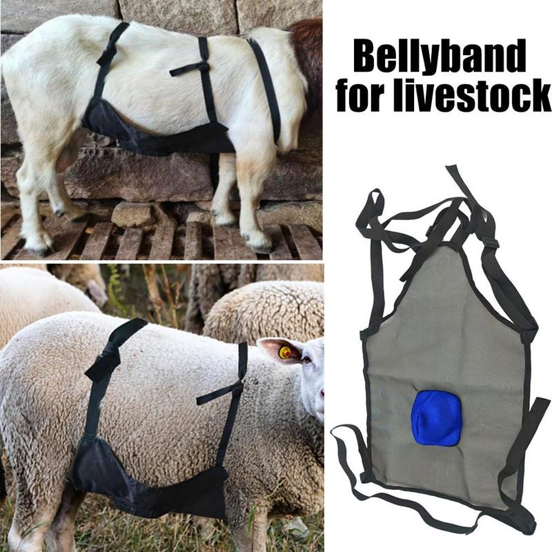 Anti Breeding Apron For Goats Sheep Breeding Control Apron With Adjustable Strap Anti Mating Apron Clothing For Goat