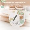 Little Bear Milestone Cards: 1-12 Months & Hundred Days Commemorative Photo Props