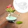 Cute Hydroponics Plant Flowerpot Whale Style Transparent Glass Vase Whale Glass Vase  Home Decor