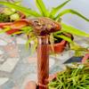 91.44 Cm Walking Stick with Rabbit Head Handle, Luxury Wooden Brass Stick Best Giftsfor Men, Women