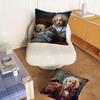 Fun Math Cool Pillow Case Bedroom Sofa Living Room Backrest Decoration Square EEinsteinS Cushion Nap Time