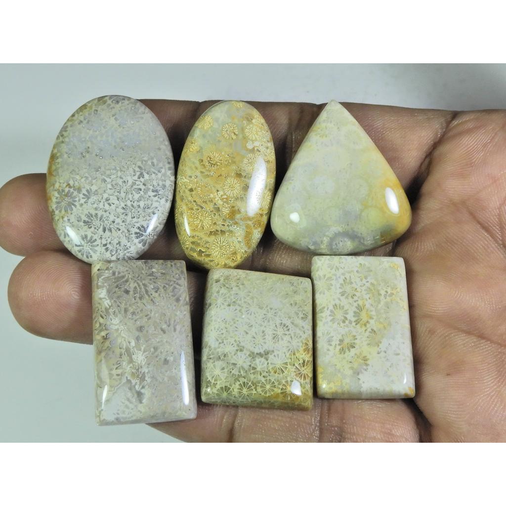 06Pcs Natural Fossil Coral Mix Cabochon Loose Gemstone Lot 228Cts. A-740