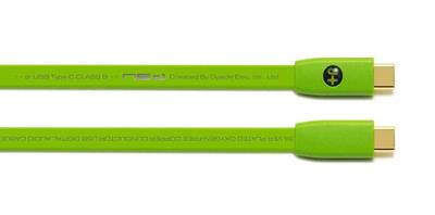 NEO by OYAIDE Elec USB To C Class B USB Cable D+ Type-C 2.0m