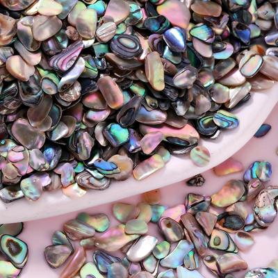 [Pedras de Concha Iridescentes] 6g Pedras de Concha Natural Iridescentes Coloridas | para Nail Art, Designs de Unhas DIY, Fabricação de Joias e Artesanato Decorativo