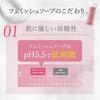 FeMish SOAP Seriennummer Enthalten Intimbereich Seife Milde Säure Geruchspflege 150ml cellnote. - - - - -