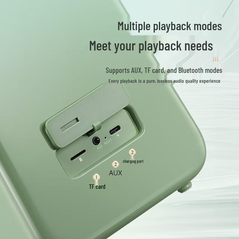 Divoom S-SongBird Home KTV Bluetooth Speaker with Dual Microphones