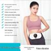 Tingbai Infrared Heating Lumbar Massager