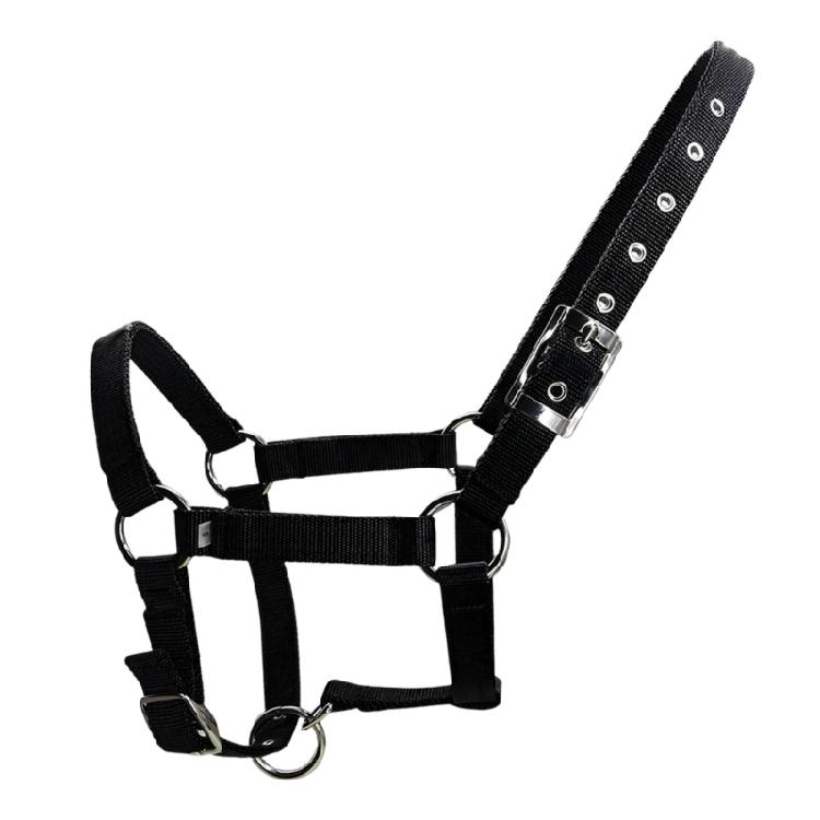 Adjustable Horse Halter Ergonomic Comfortable Halters Headcollar Equestrian Equipment Horse Riding Accessories