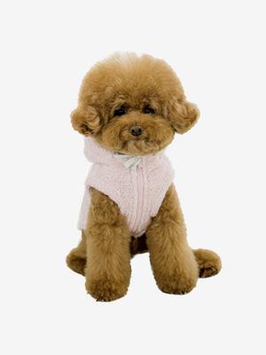 SALTYHEARTY Glitter Fleece 2021 Ver. PINK