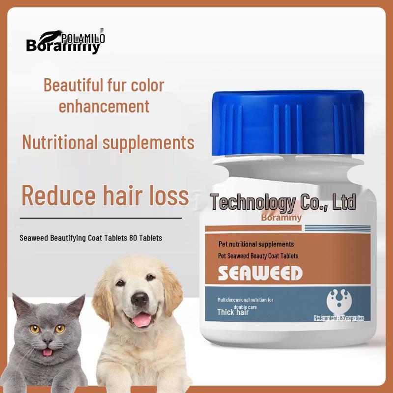 Pet Probiotics for Dogs & Cats: Aid Digestion, Relieve Vomiting & Diarrhea, Enhance Stomach Health