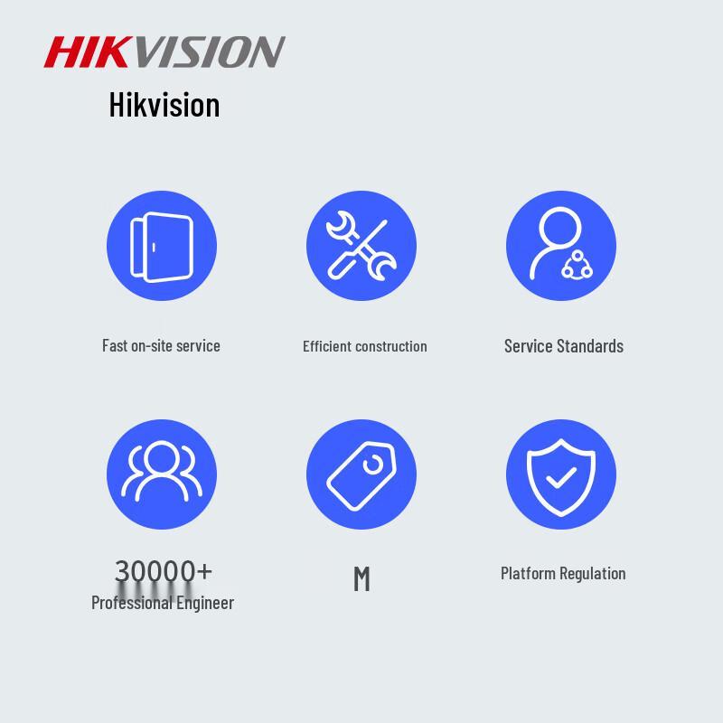 Hikvision Access Control System Installation Service CN plug (adapter included)